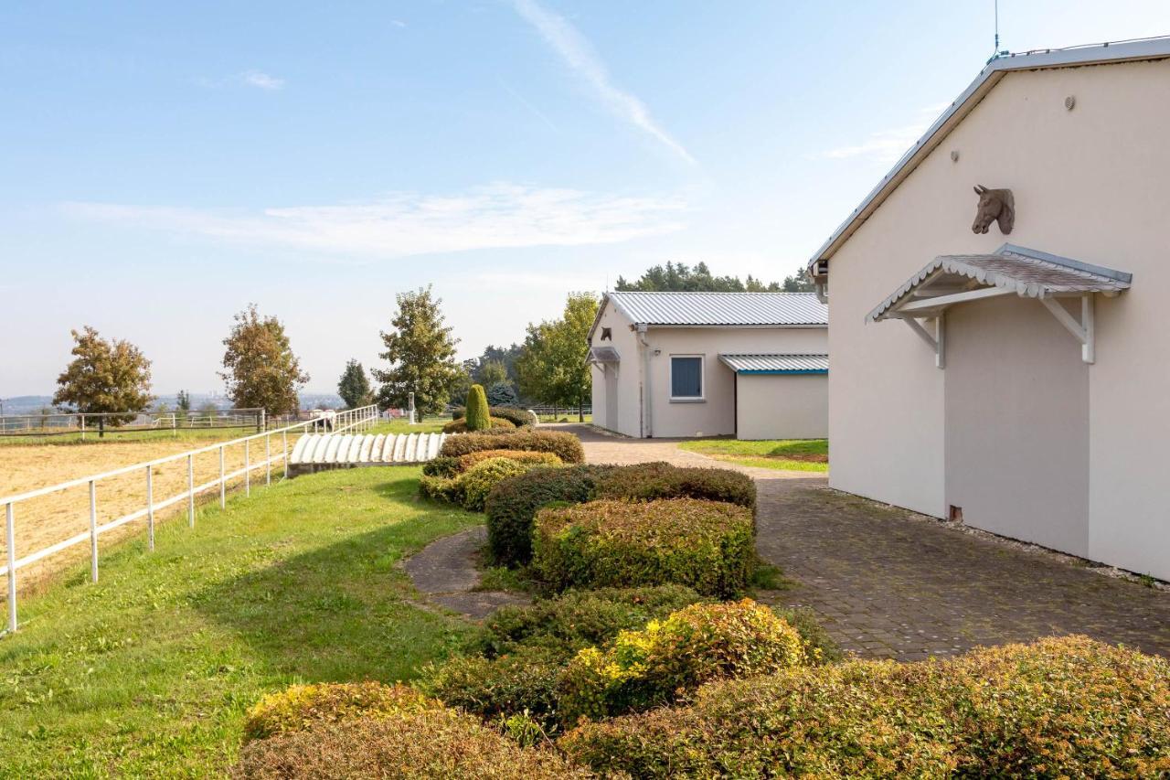 Farma Slunecny Dvur Apartmany A Family Stany Strecha Pod Strechou Hermanuv Mestec Exterior foto